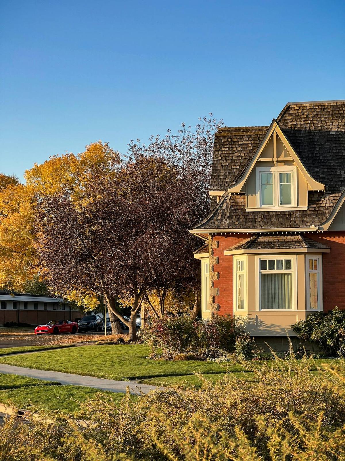 7 Sample Mews SW, a character home on a tree-lined street
